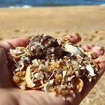 Pousada Dona Vanuza