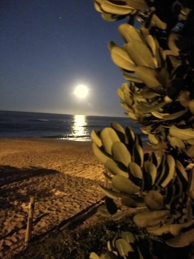 Dona Vanuza * Balneario Camboriu